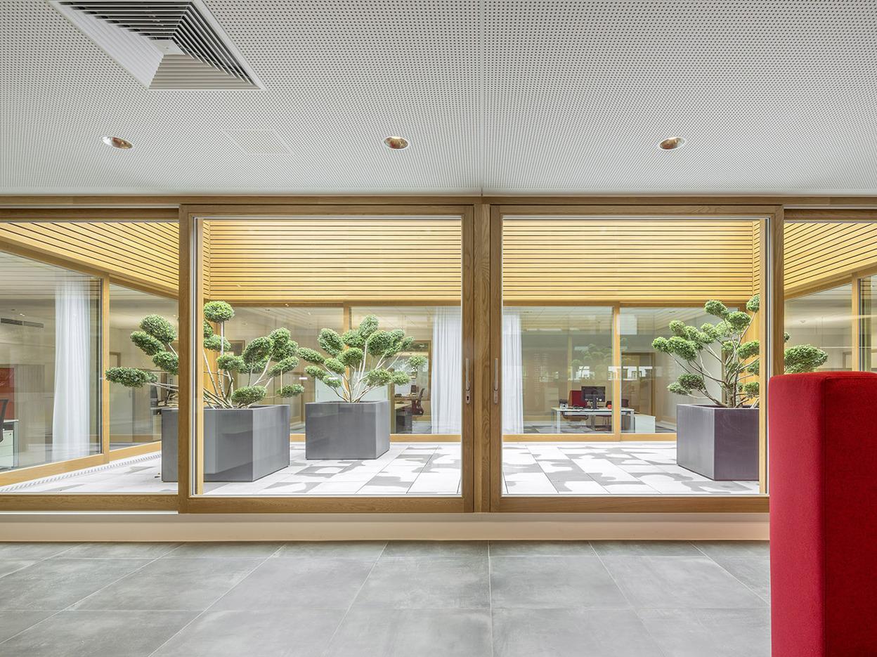 Blick auf eine moderne Glasfront mit Pflanzen in schwarzen K&uuml;beln und einem roten Sofa im Vordergrund.