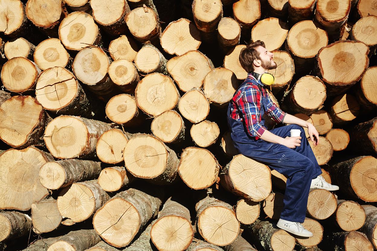 Gefällte Baumstämme - #Branche1# Hintergrund